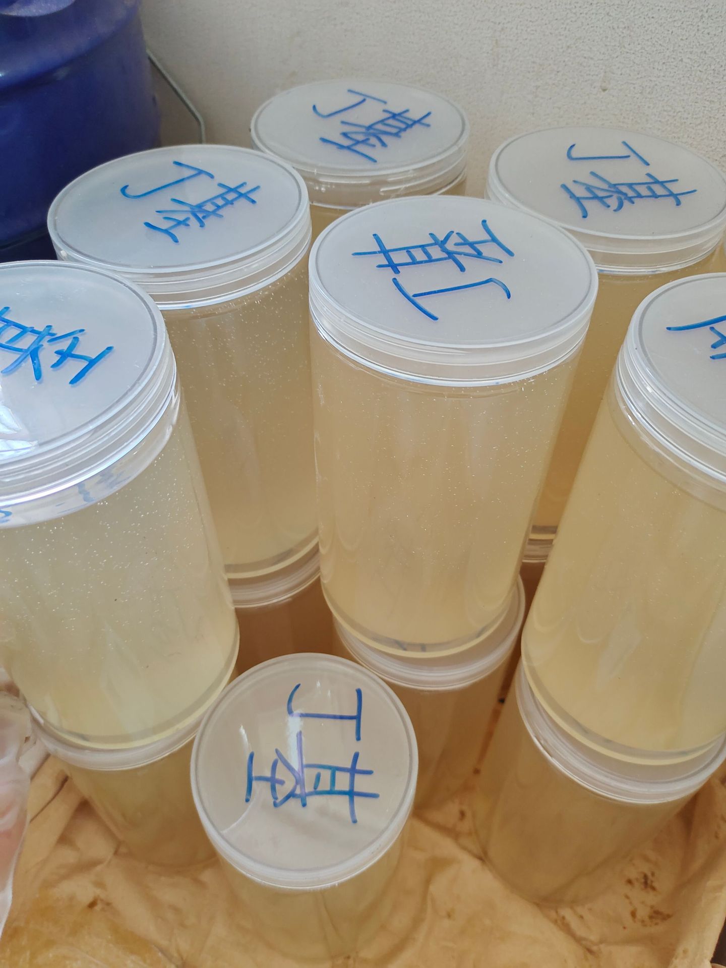 æ¶²ä½ä¸åºæ©¡è¶ æ ·åå¾-3