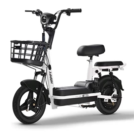电动自行车;电动摩托车;电动滑板车