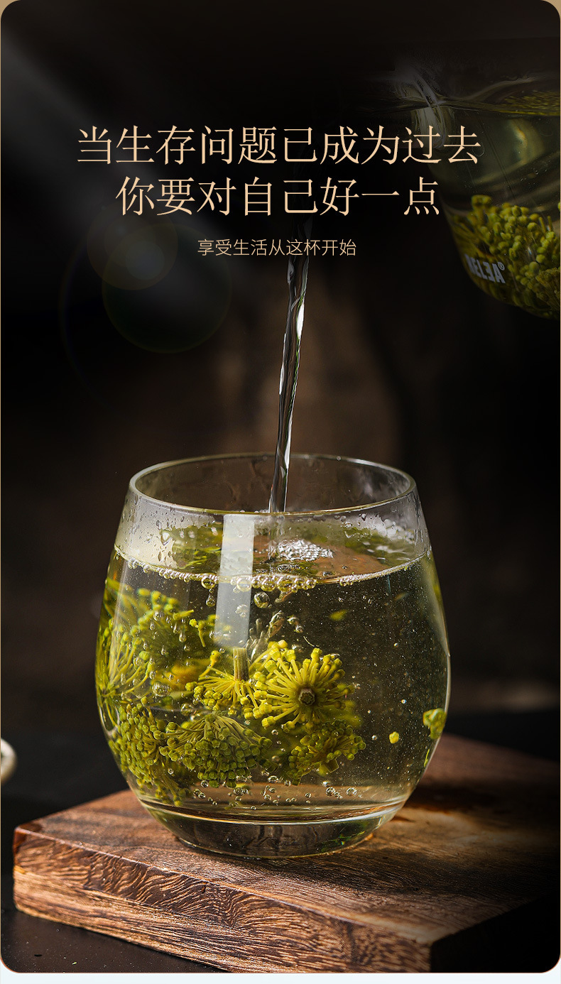 Panax notoginseng _04 jpg