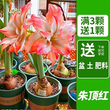 ��피t�ذ�N�����Ի���ֲ���҃��ļ��_�������׹��ȳ����p��