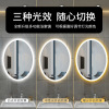 Intelligent oval -shaped LED bathroom mirror toilet anti -fog toilet toilet wall -mounted makeup with light touch screen