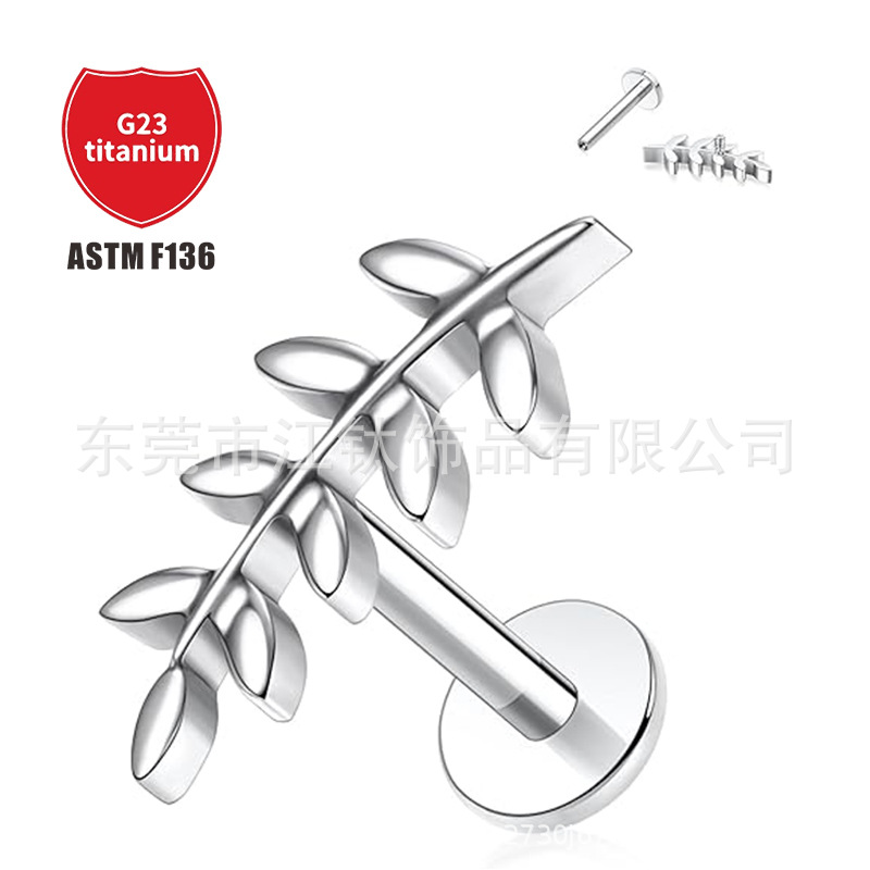 Pointed titanium steel lip stud product view