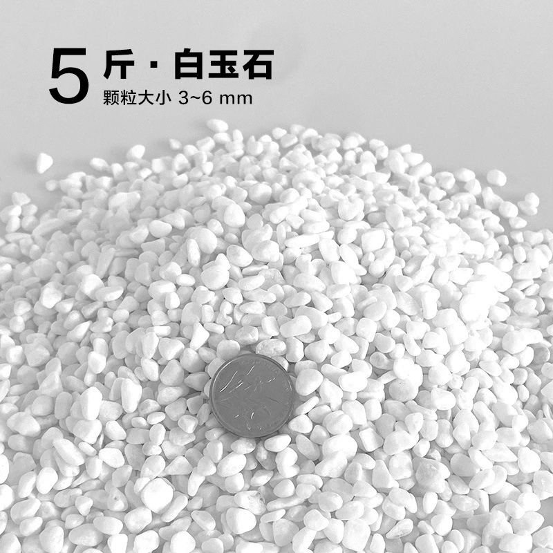 楸肩几搴曠爞閫犳櫙搴曟矙涔岄緹娌虫矙鍖栧