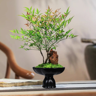 ����ˮ�໨���մɻ���̦�\����͏d����Gֲ���є[���辰�ɹ��P