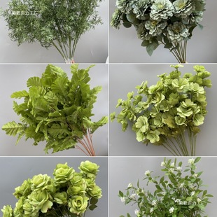 ��c��ˇ�Gֲ�Pβ�~���ȼ������X�ݲ��þGɫ�������ϻ�Y����