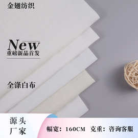 多规格可选全涤T110*76 38  63英寸白布面料 源头厂家
