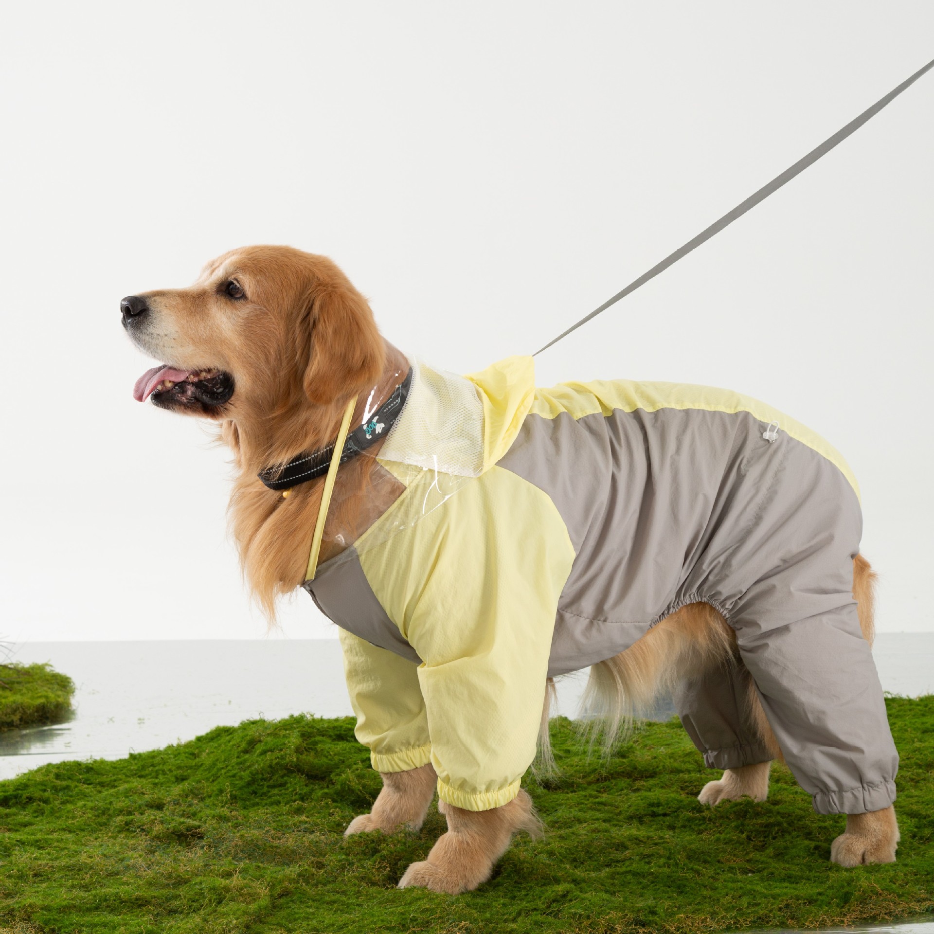 Impermeable para perros grandes, de verano, diseño simple, protección contra la lluvia para viajes al aire libre, ropa para perros Labrador.