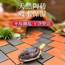 �S�����쾰�uС��u�����~���b������u䁵ؼt�u��������ͥԺ�辰