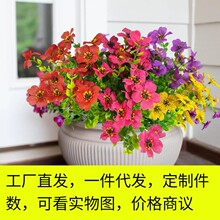 �羳���滨���_�m�ȼ����r�ՠ�ţ�������b�����С�����Gֲ