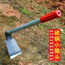 �����z�^�r�߷N��С�������������ȫ��ڹS���@�Բ��z�^�r�ö��S