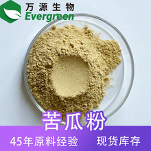 苦瓜粉80-100目食品原料果蔬粉脱水苦瓜粉源头厂家现货