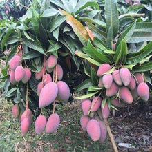 �F��â����������ش��ļ��Y����â�������Ե��Խ��â�������