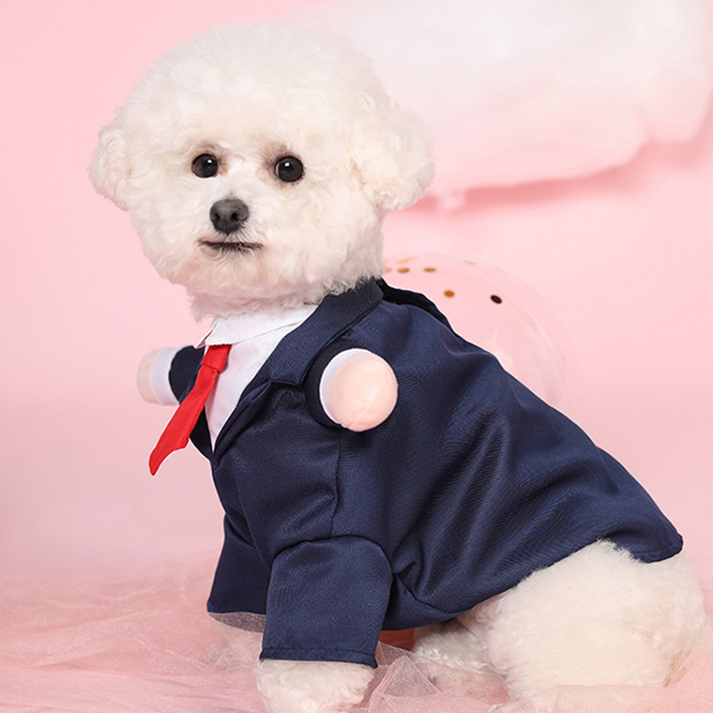 Formal Simple Style Polyester Color Block Pet Clothing display picture 2