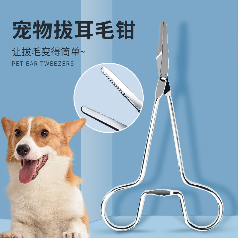 강아지 귀털 뽑는 집게, 애완동물 핀셋, 강아지 귀털 뽑는 도구, 테디 고양이 집게, 제모용품, 니퍼 핀셋
