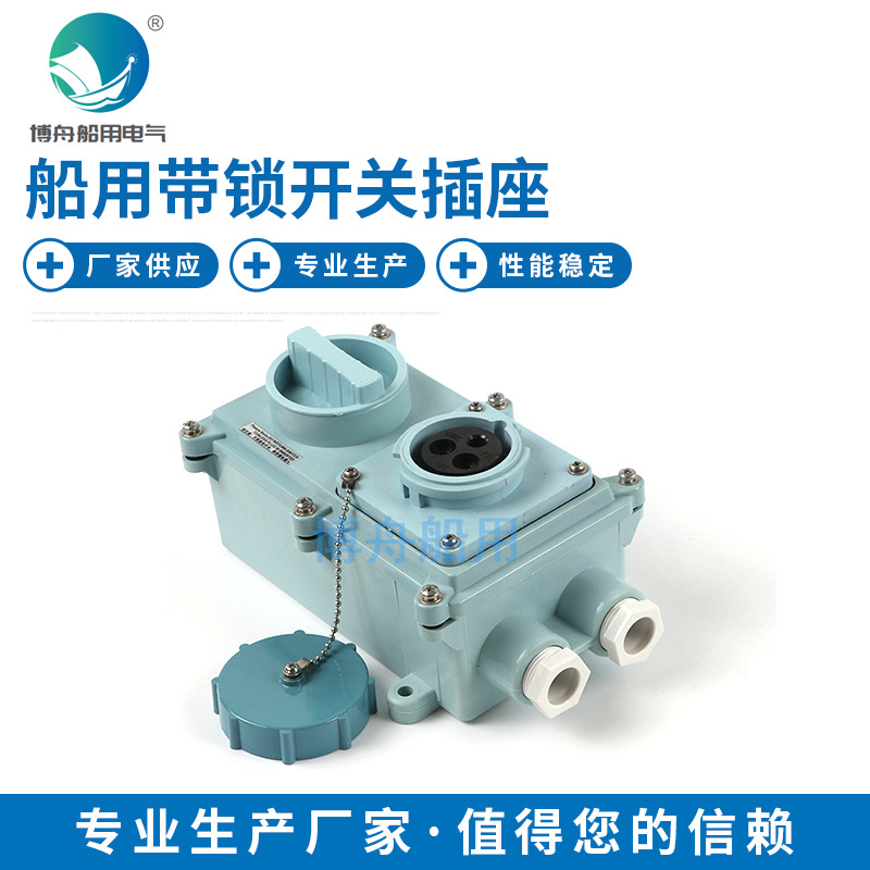 IEC带锁开关插座 IEC不带锁开关插座 RSIL2-2 蓝
