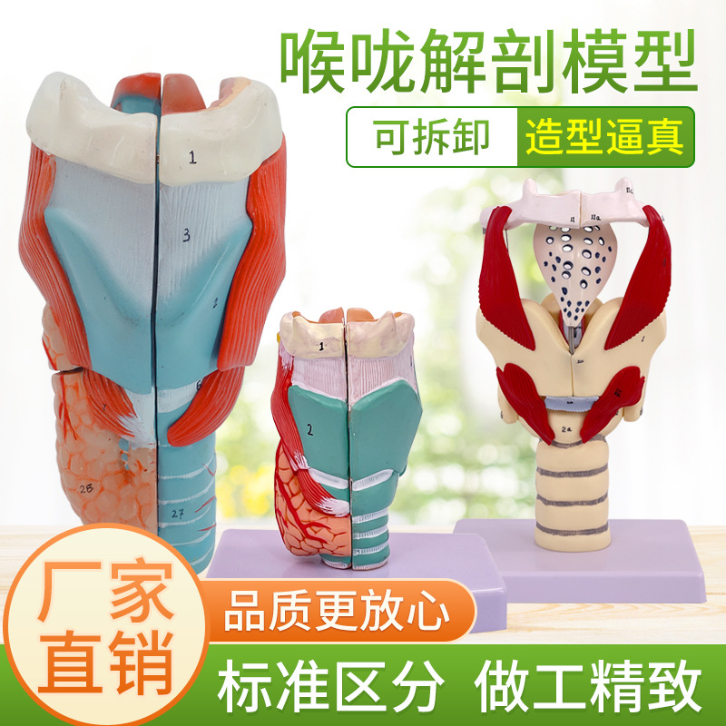 2���Ŵ��ʺ�ģ�ͺ����ʱ걾����Ѫ�ܼ�״�ٺ����ͷ���� ��ѧ����