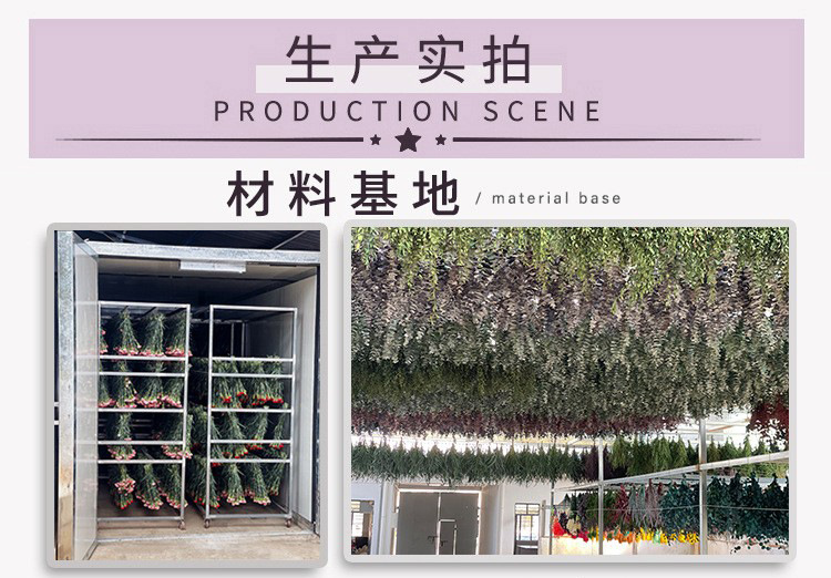 O1CN01EDYNPC1quhPTbMzdB_!!2215