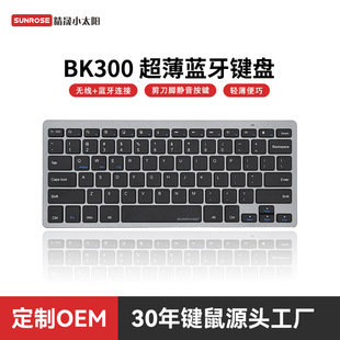 ���S����BK300�o���{���I�P����̨ʽ�Pӛ����X2.4Gһ�϶��I����