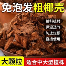 ˹���m��ԭ�b�M��΢���s���ݰlɢҬ���Nֲ������K�B���I�B��Ҭ��