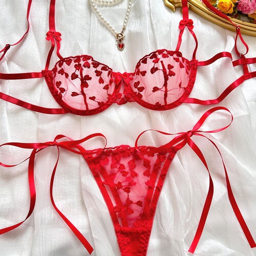 Elegant European and American INS-style Romantic Heart Embroidery Sexy Sheer Mesh Underwear with Steel Boning for Women