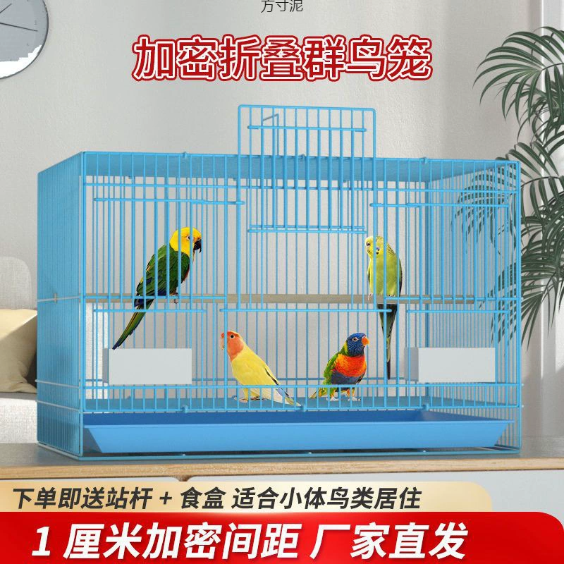 Птичий домашний брат Сюаньфэн перепел пион Рудинг размножение домашних птиц клетки толстые и толстые птицы клетки для птиц оптом