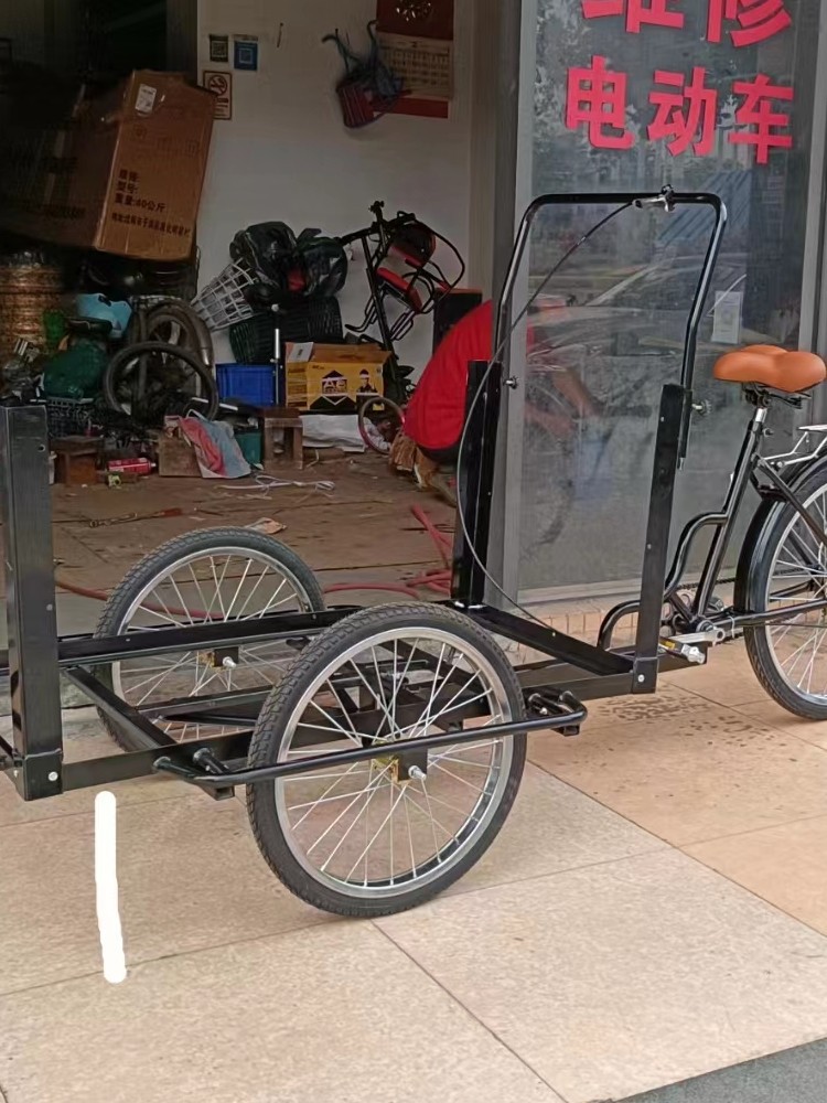 网红倒骑驴接送儿童老人代步运输货物三轮车脚蹬欧款摆摊卖货