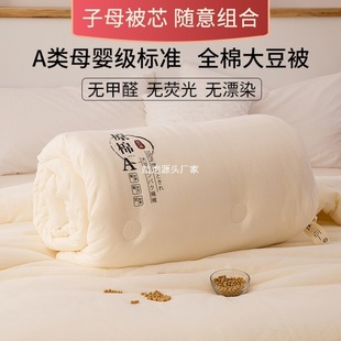 Class a Raw Cotton Soybean Quilt Maternal and Infant Grade Spring & Fall Quilt Autumn and Winter Quilt Core Thickeneded Four-Season Bedding Summer Cool Quilt 1