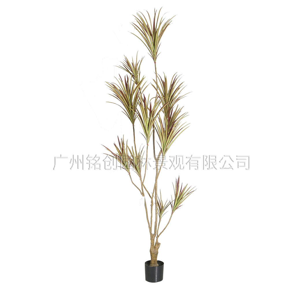 Simulación Árbol de sangre de dragón Simulación de madera de mil años Plantas verdes Plantas en macetas Decoración de interiores Simulación Árbol de hierro de sangre de dragón Simulación Árbol artificial Plantas verdes falsas