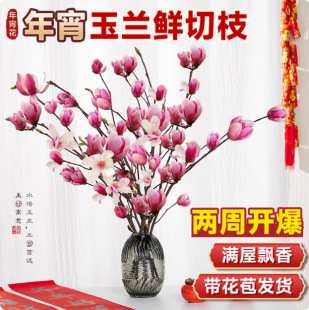 ˮ��������m����֦�r�Ў������ѻ��rֲ֦���҃Ⱥ��B��������ϲ�c