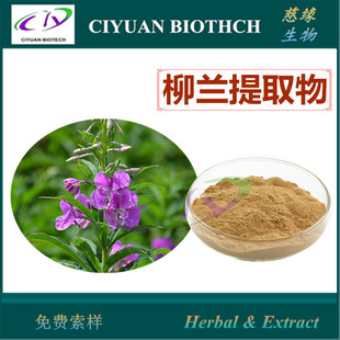 柳兰提取物10:1 柳叶菜提取物 慈缘生物-阿里巴巴