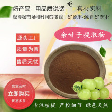 余甘子提取物 水溶余甘子粉 水提余甘果/油甘子提取物 现货规格全