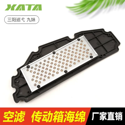 Air filter Z300 Cruisier 300 Air Filter