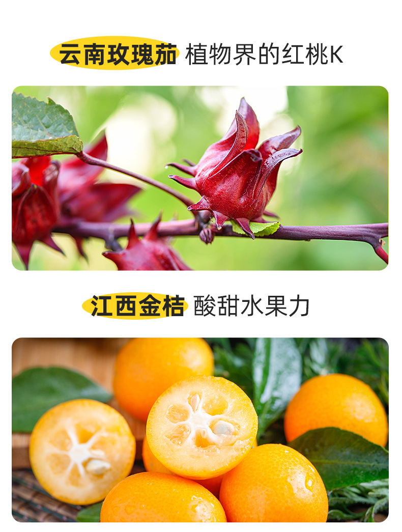 Cili Wuhuahua Luoshenhua Tea Blend with Kumquat 120g Gift Box 12 Bags Cold Brew Herbal Tea key features