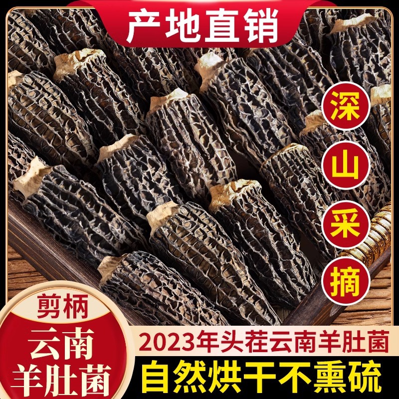 2023 New Yunnan Morel Dried Goods Wild Fresh Raw Stewed Chicken Nutritional Soup Ingredients Nourishing Health Soup Packet