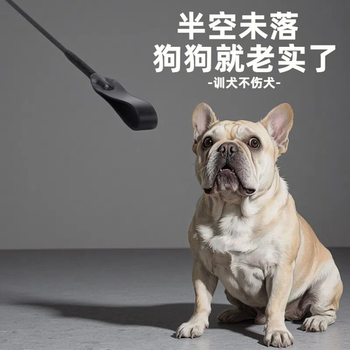 Training Whip for Dogs, Cat Whip, Training Supplies for Dogs, Fun Dog Trainer, Dog Rattle, Dog Sticks, Pet Supplies, Pet Training