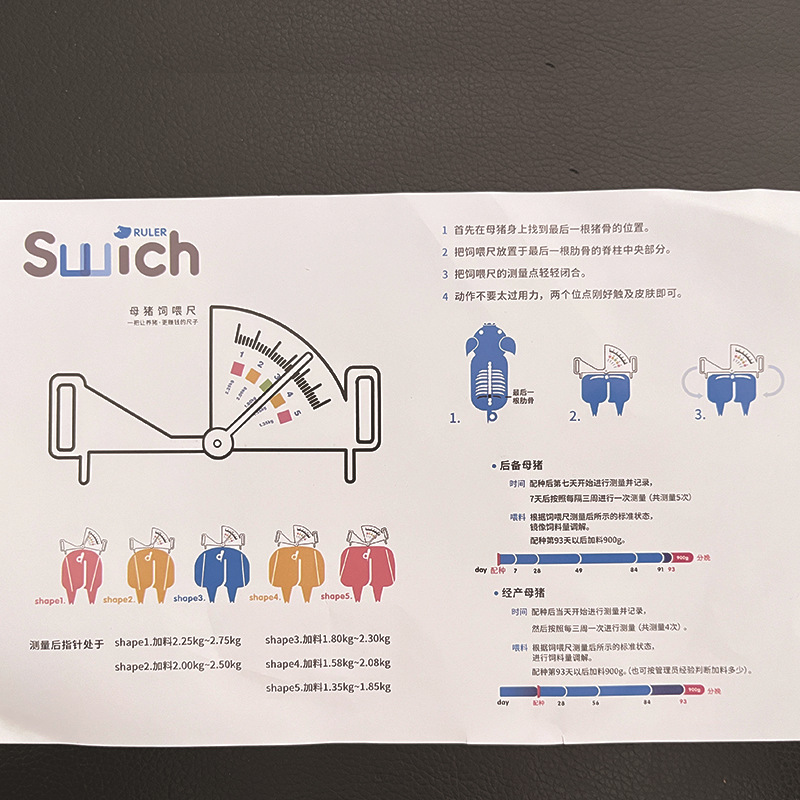Calibrador de alimentación de acero inoxidable para cerdos regla de gestión de alimentación para cerdos condición de alimentación dispositivo de guía de medición regla de grasa de la cerda embarazada