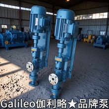 长轴污泥泵无堵塞浆泵立式料浆泵进口浓浆泵固体浆料泵浆料泵