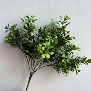 �����S���~�������mֲ�� 7������S����廨�[���b�c�S�����l