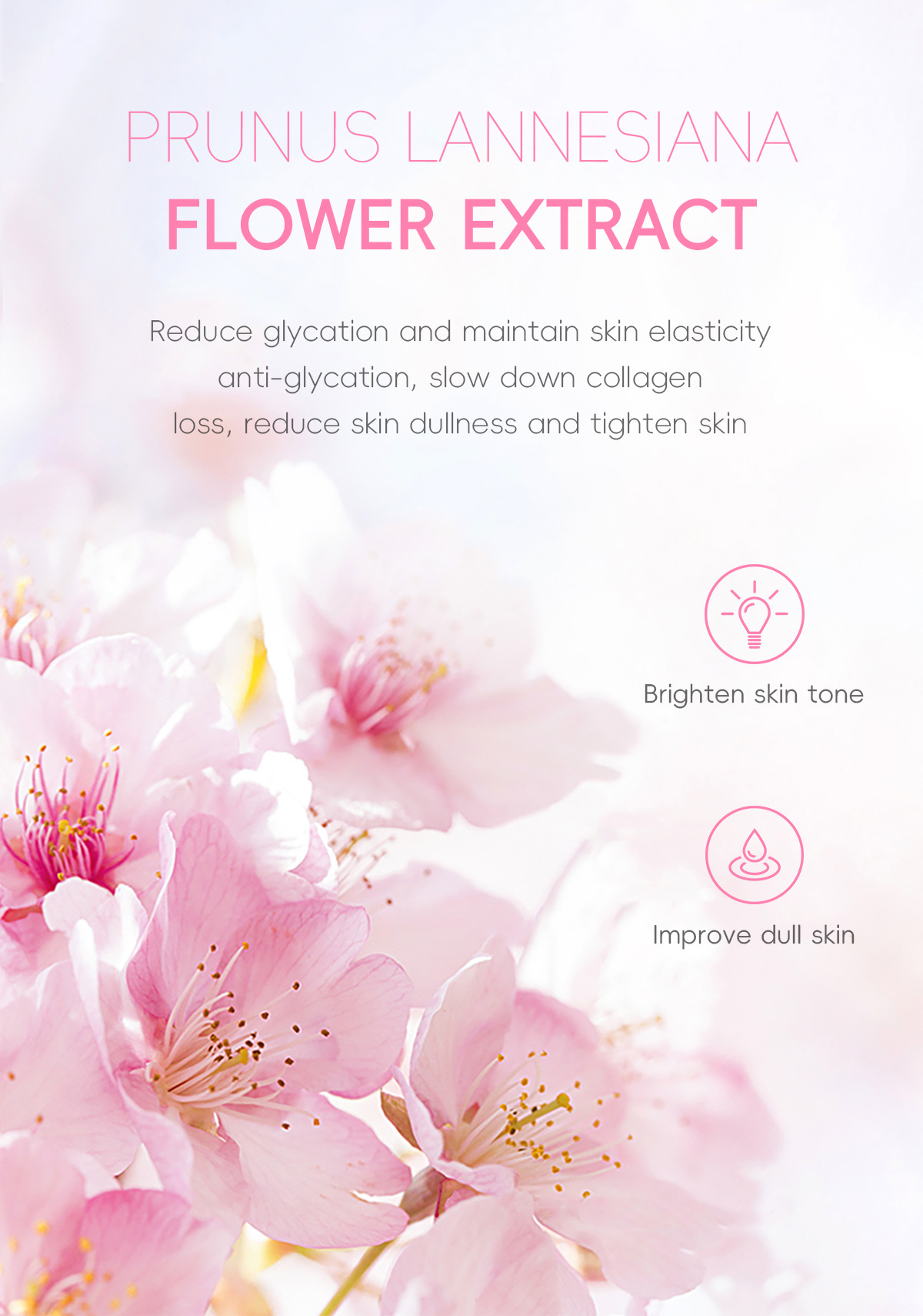 FENYI Cherry Blossom Essence Cream 40g, Autumn and Winter Moisturizing, Hydrating and Nourishing, in stock from the manufacturer undefined