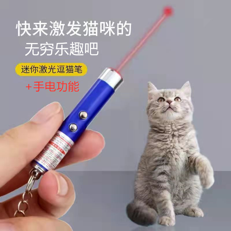미니 작은 손전등 적외선 레이저 열쇠 고리 교수형 장식 펜 레이저 고양이 티저 애완 동물 고양이 티저