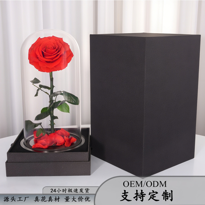 永生花玻璃罩大王子单朵玫瑰花七夕情人节女朋友生日礼物永生花|undefined