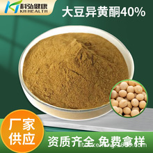 厂家现货批发大豆异黄酮40%大豆蛋白粉食品级 可零售全国包邮