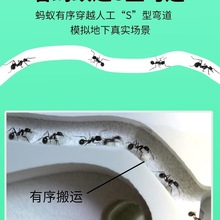 Λρ�Ǳ�Λρ�����ի@ρ����ρ������W���WУ�����^����ρ��a��