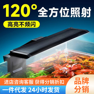 [Dropshipping] Yee Fish Tank Light Led Light Waterproof Super Bright Three-Color Spotlight Mini Energy-Saving Lighting Aquarium