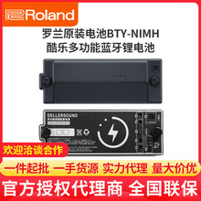 Roland罗兰BTY-NIMH/A EX音箱锂电池 EX AC33 BA330全功能锂电池