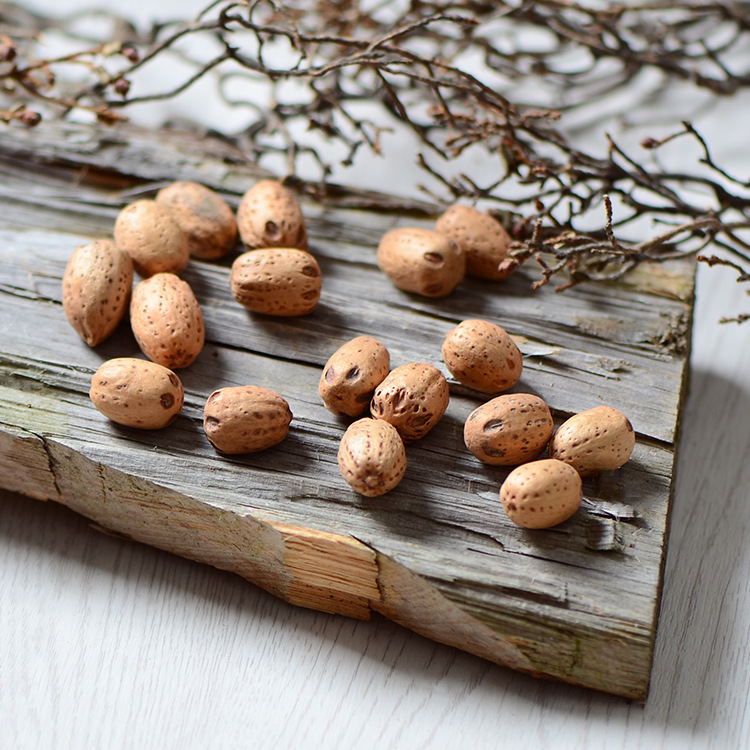 森系天然ドングリの飾り手作りのドライフラワーのペンダント