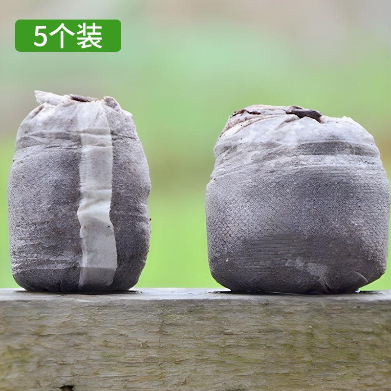 葉挿し苗トレイ、播種箱穴、プラスチック製温床ポット、苗多肉植物培養保湿箱蓋3点セット|undefined