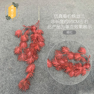 ���滨����F�z�m�S�Ҏ���F�z�m��h�F�z�m���컨���ٻ�����