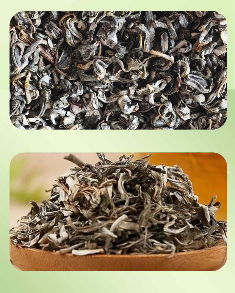 Dried Sea Buckthorn Leaf Tea Loose Bulk Sha Ji Ye Herbal Infusion 1KG in use