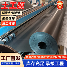HDPE土工膜水产养殖防渗膜垃圾填埋场沼气池高密度聚乙烯土工膜